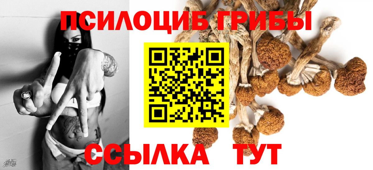 Псилоцибиновые грибы мухоморы Новоалександровск